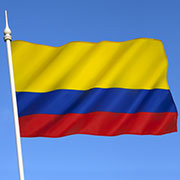 Market Segment Report: Market Segment Outlook: Colombia Insurance