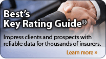 Key Rating Guide