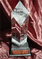 2008 E-fusion Award