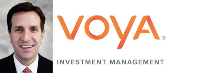 Michael Pagano, Head of Insurance Portfolio Management, Voya Investment Management
