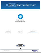 Best's Rating Reports