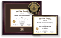 Best's Rating Certificate