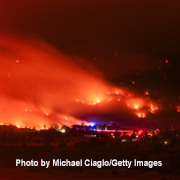 wildfire illustration