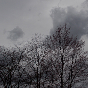 Stormy sky with bare trees