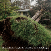 Hawaii hurricane damage
