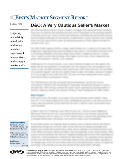 Market Segment Report: D&O: A Very Cautious Seller’s Market