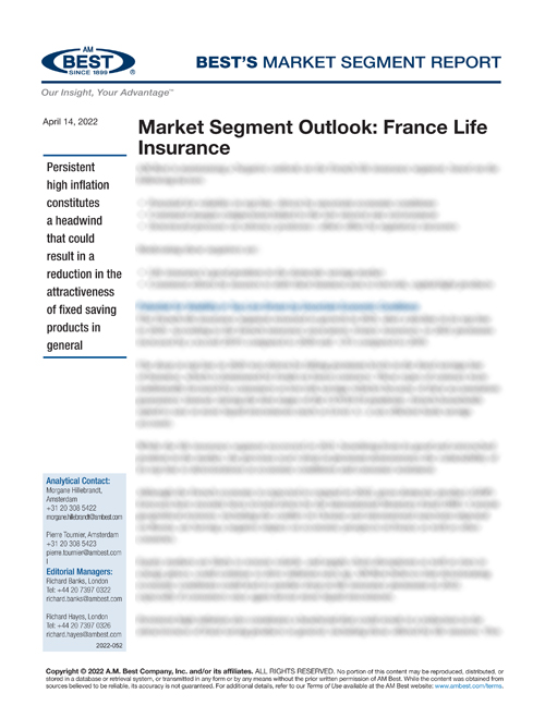 Market Segment Report: Market Segment Outlook: France Life Insurance