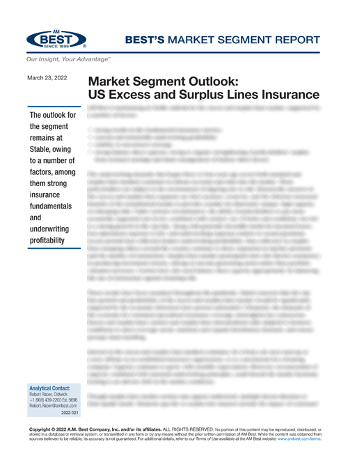Market Segment Report: Market Segment Outlook: US Excess and Surplus Lines Insurance