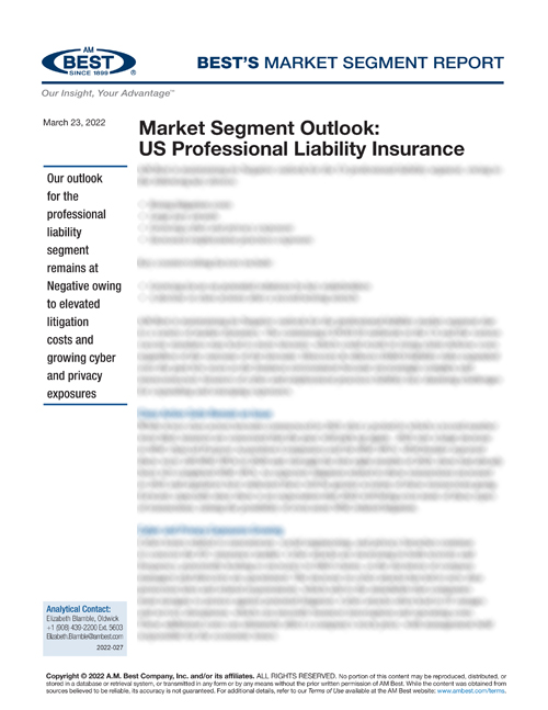 Market Segment Report: Market Segment Outlook: US Professional Liability Insurance