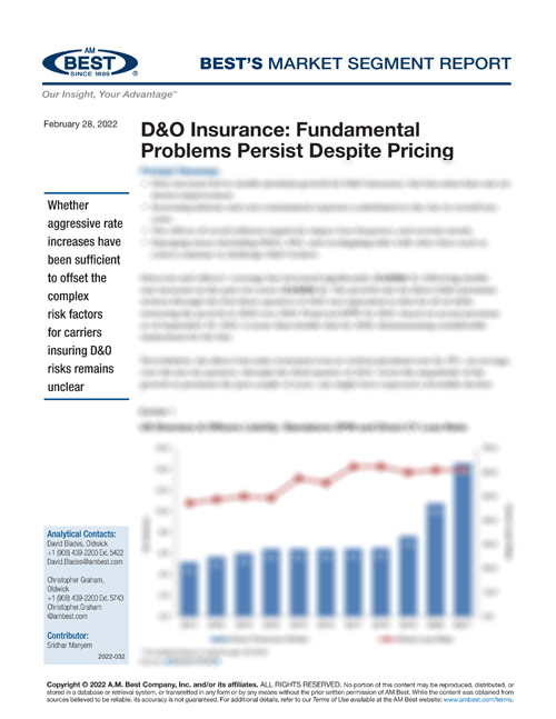 Market Segment Report: D&O Insurance: Fundamental Problems Persist Despite Pricing