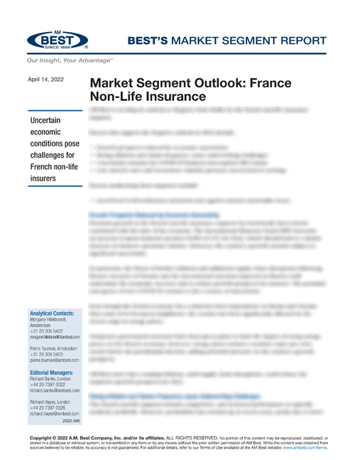 Market Segment Report: Market Segment Outlook: France Non-Life Insurance