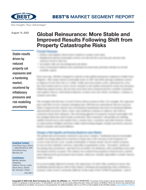 Market Segment Report: Global Reinsurance: More Stable and Improved Results Following Shift from Property Catastrophe Risks
