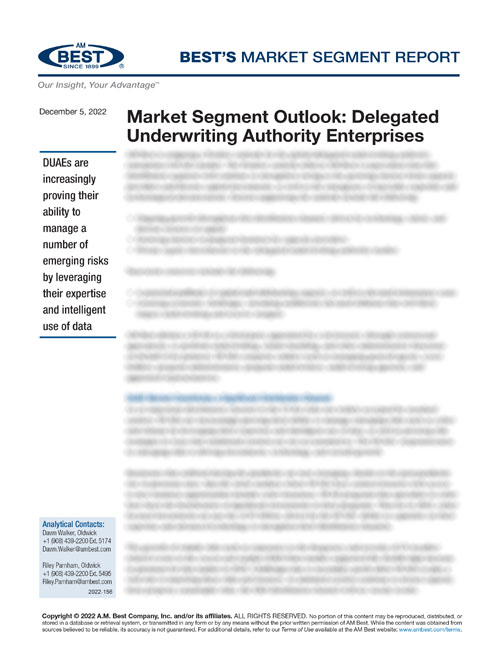 Market Segment Report: Market Segment Outlook: Delegated Underwriting Authority Enterprises