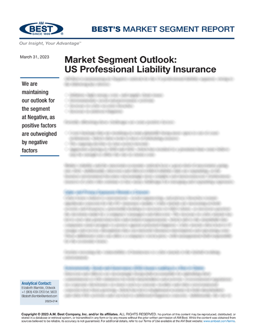 Market Segment Report: Market Segment Outlook: US Professional Liability Insurance