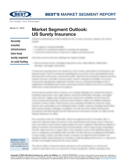 Market Segment Report: Market Segment Outlook: US Surety Insurance