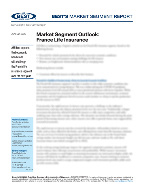 Market Segment Report: Market Segment Outlook: France Life Insurance