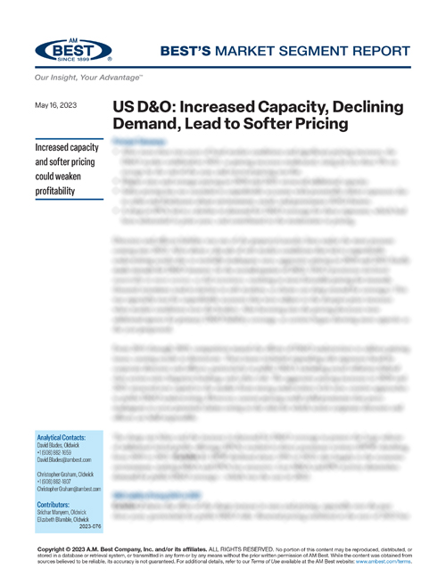 Market Segment Report: US D&O: Increased Capacity, Declining Demand, Lead to Softer Pricing