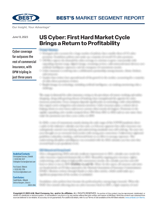 Market Segment Report: US Cyber: First Hard Market Cycle Brings a Return to Profitability