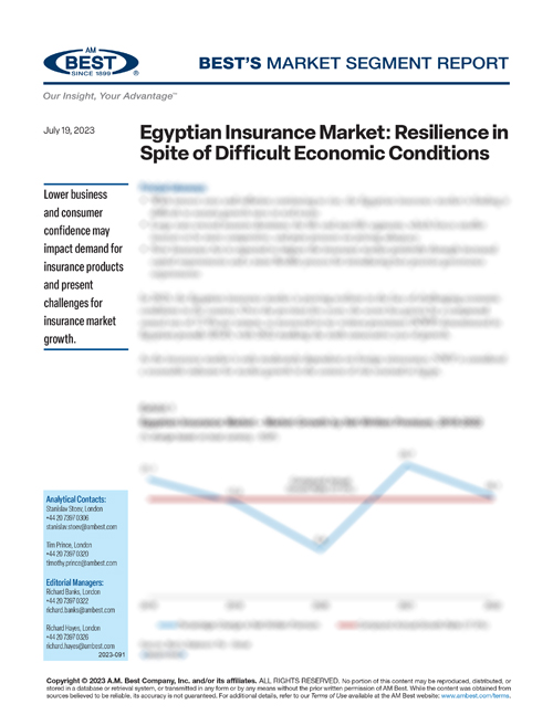 Market Segment Report: Egyptian Insurance Market: Resilience in Spite of Difficult Economic Conditions