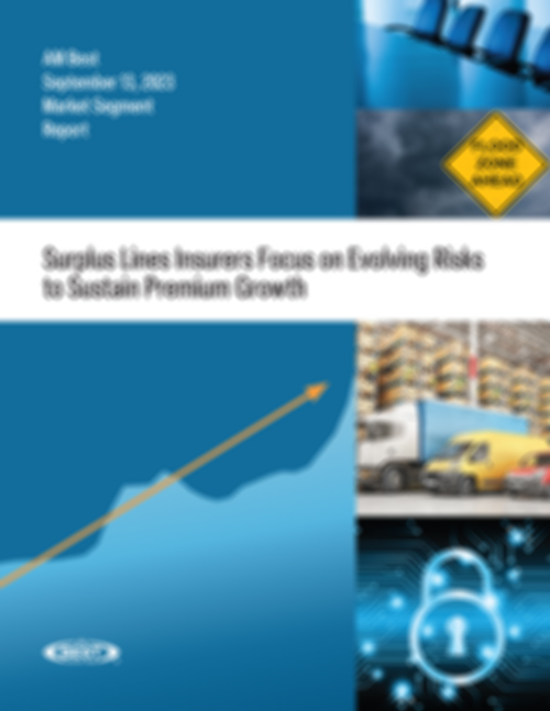Market Segment Report: Surplus Lines Insurers Focus on Evolving Risks to Sustain Premium Growth