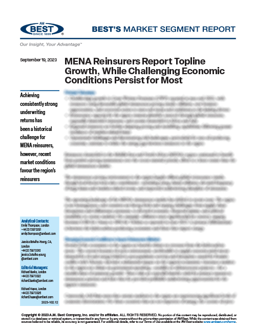 Market Segment Report: MENA Reinsurers Report Topline Growth, While Challenging Economic Conditions Persist for Most