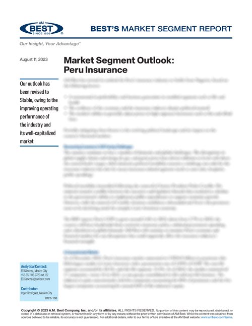 Market Segment Report: Market Segment Outlook: Peru Insurance