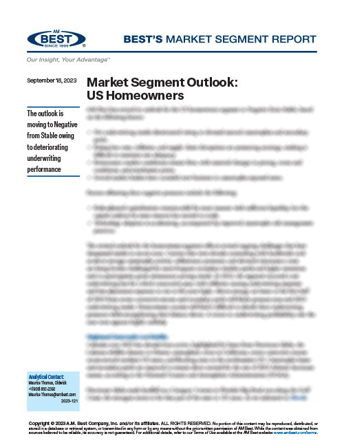 Market Segment Report: Market Segment Outlook - US Homeowners