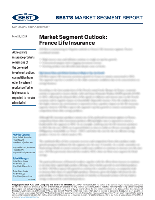 Market Segment Report: Market Segment Outlook: France Life Insurance