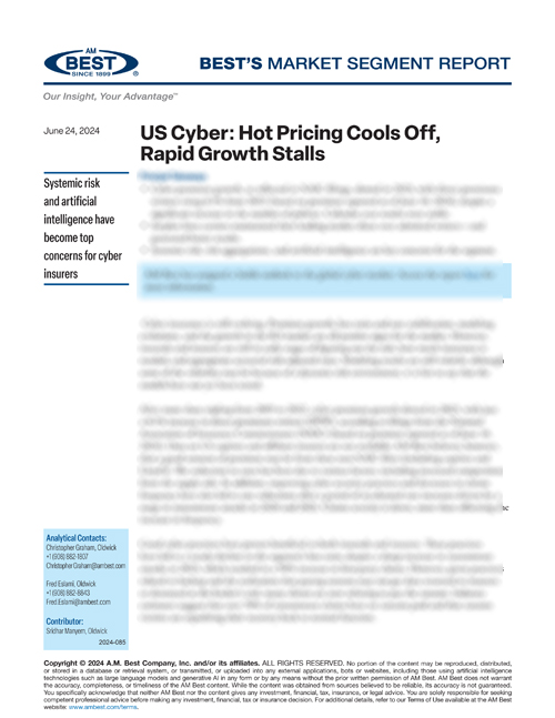 Market Segment Report: US Cyber: Hot Pricing Cools Off, Rapid Growth Stalls