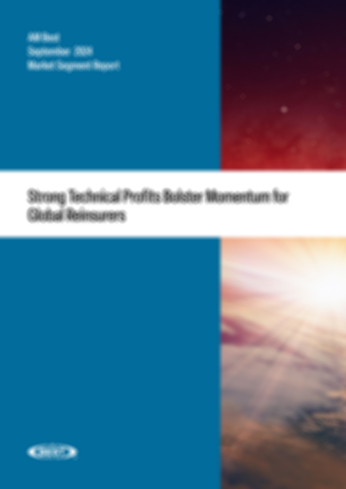 Market Segment Report: Strong Technical Profits Bolster Momentum for Global Reinsurers