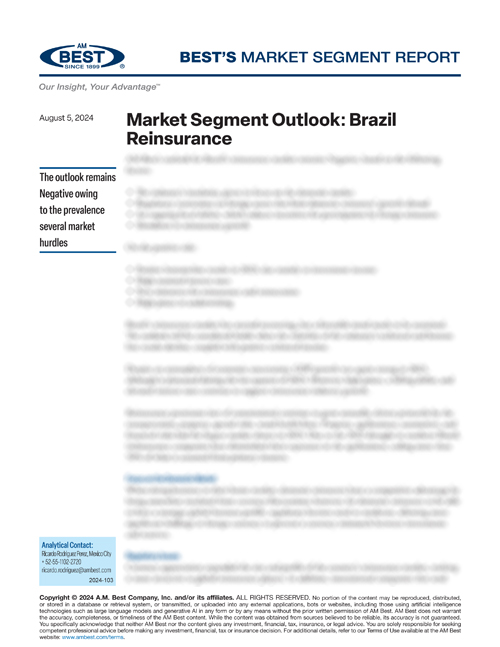 Market Segment Report: Market Segment Outlook: Brazil Reinsurance