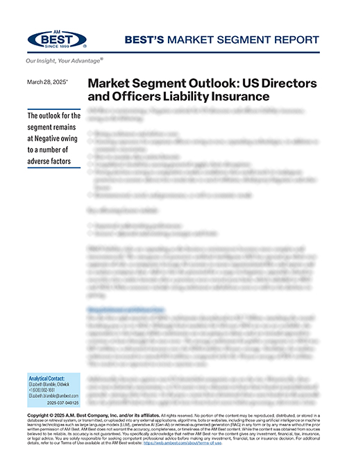 Market Segment Report: Market Segment Outlook: US Directors and Officers Liability Insurance