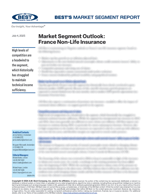 Market Segment Report: Market Segment Outlook: France Non-Life Insurance