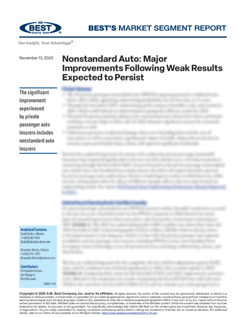 Market Segment Report: Nonstandard Auto: Major Improvements Following Weak Results Expected to Persist
