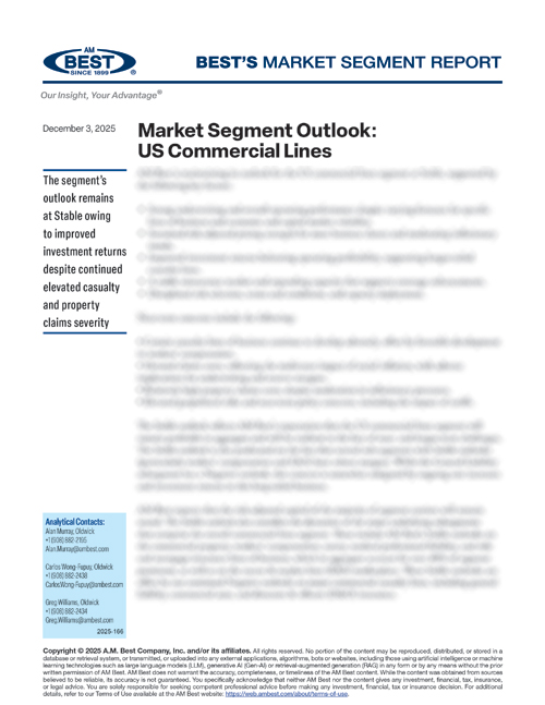Market Segment Report: Market Segment Outlook: US Commercial Lines