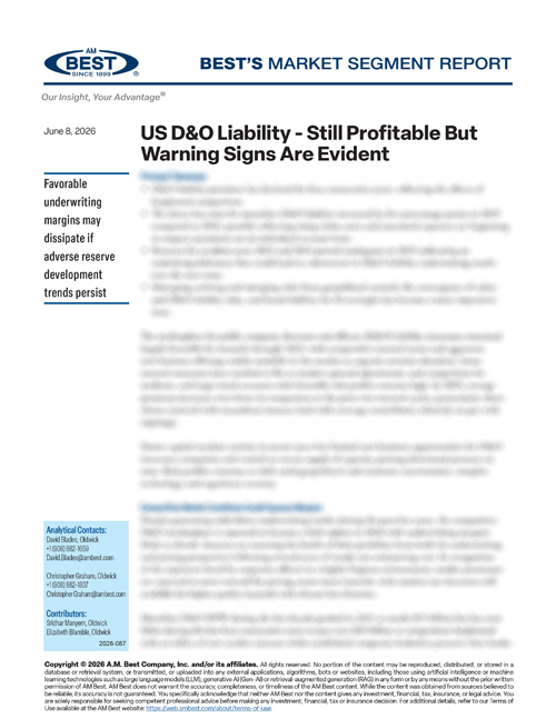 Market Segment Report: US D&O Liability - Still Profitable But Warning Signs Are Evident