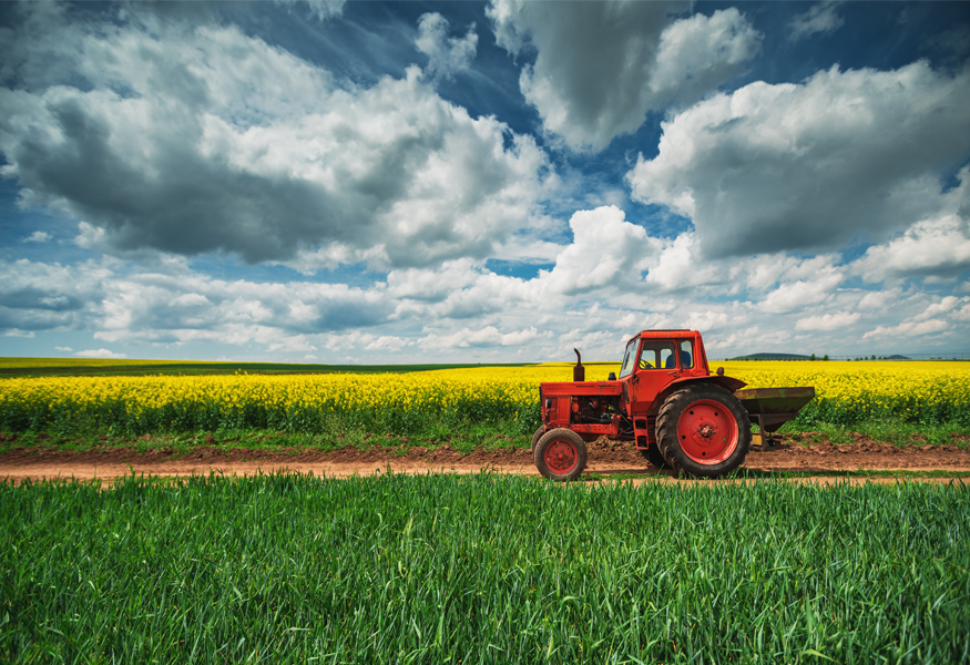 Market Segment Report: US Farm Bureau Insurers Reverse Direction: P/C Profitable; L/A Premiums Up Slightly