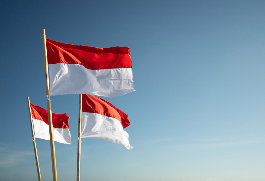 Market Segment Report: Market Segment Outlook: Indonesia Non-Life Insurance
