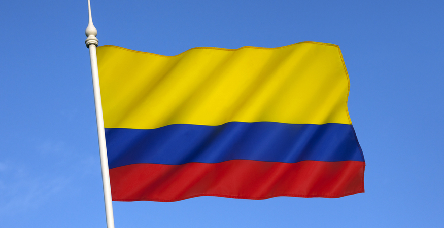 Market Segment Report: Colombia’s Insurance Market: Life Segment Leads Growth as Non-Life Faces Rising Leverage Risks
