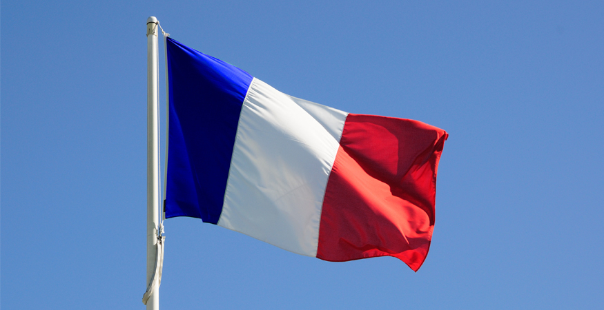 Market Segment Report: Market Segment Outlook: France Life Insurance