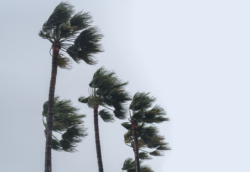 Best's Briefing: Florida Property Insurance Market Rebounds After Tort Reforms