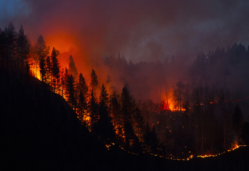 APCIA: Prop 103 Contributes to State Farm’s California Property Insurance Freeze