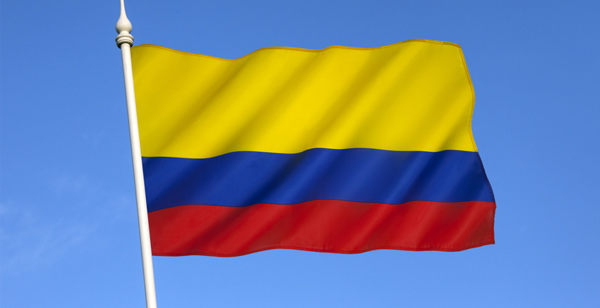 Market Segment Report: Market Segment Outlook: Colombia Insurance