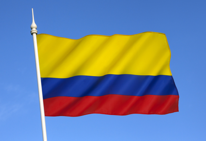 Market Segment Report: Market Segment Outlook: Colombia Insurance