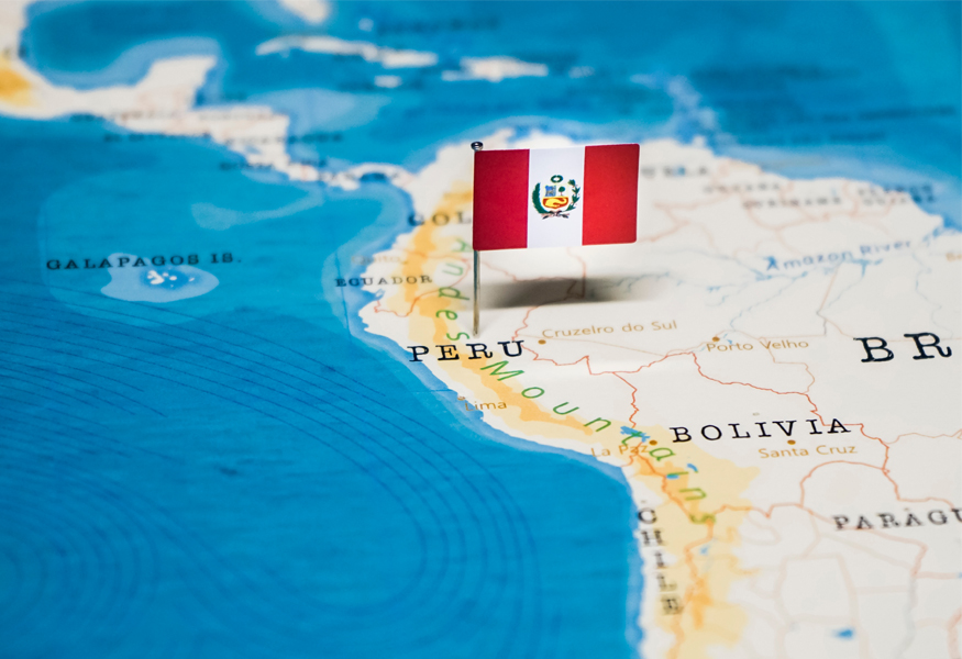 Market Segment Report: Market Segment Outlook: Peru Insurance