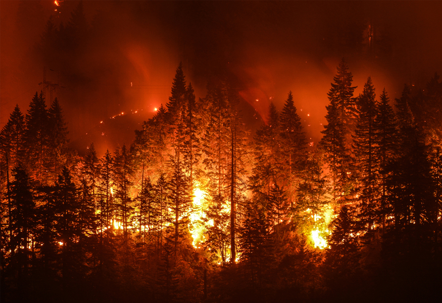 Commentary: Insured Losses in Washington, Spokane-Area Wildfires Highlight the New Normal