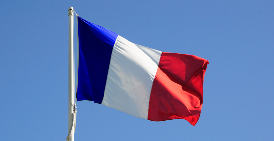 Market Segment Report: Market Segment Outlook: France Life Insurance