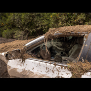 States and Louisiana Local Governments Sue Feds Over ‘Cruel’ Risk Rating 2.0