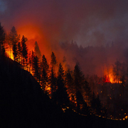 Wildfire blankets a wooded hillside